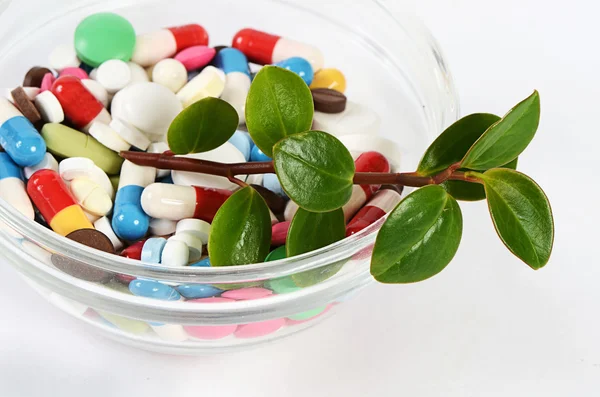 Таблетки і таблетки з рослиною — стокове фото