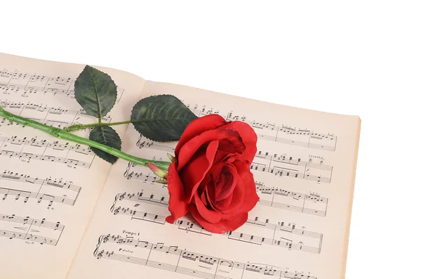 The rose on notebooks with notes — Stock Photo, Image