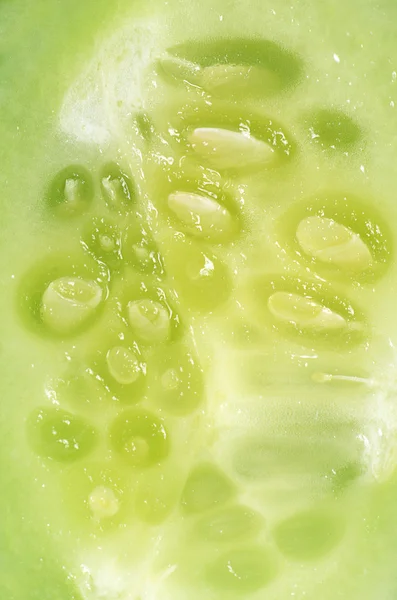 Fresh cucumber close up — Stock Photo, Image