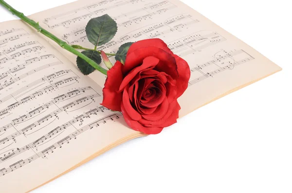 The rose on notebooks with notes — Stock Photo, Image