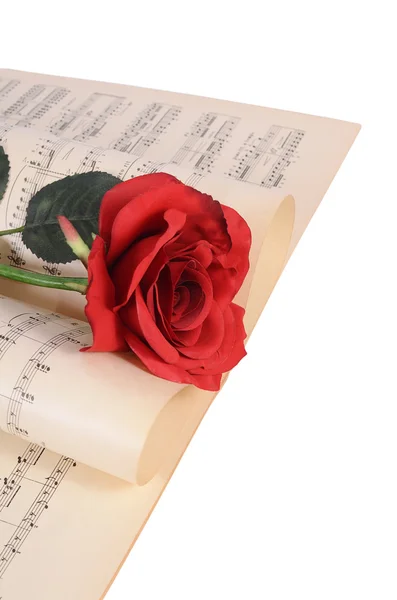 玫瑰的浓郁的笔记本 — 图库照片