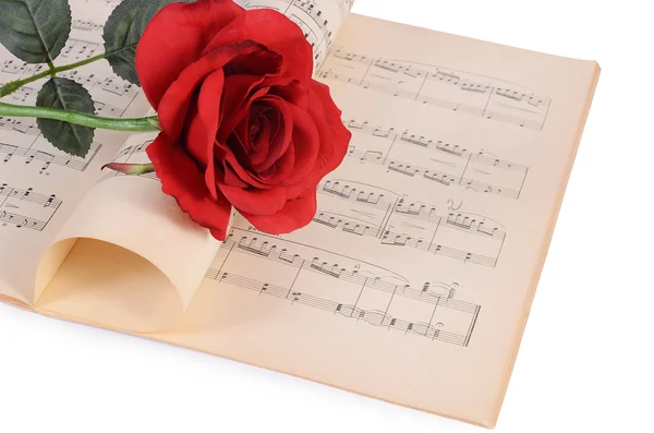 The rose on notebooks with notes — Stock Photo, Image