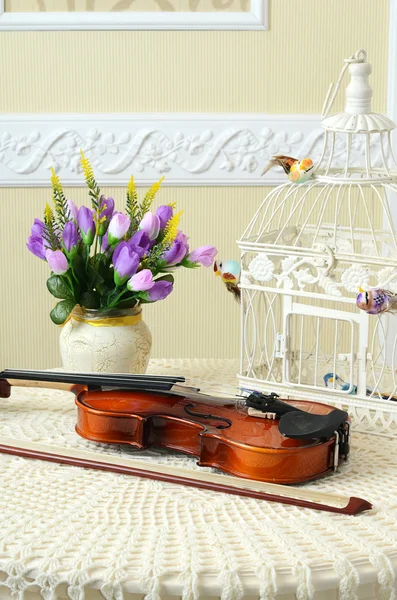 Violino sul tavolo — Foto Stock