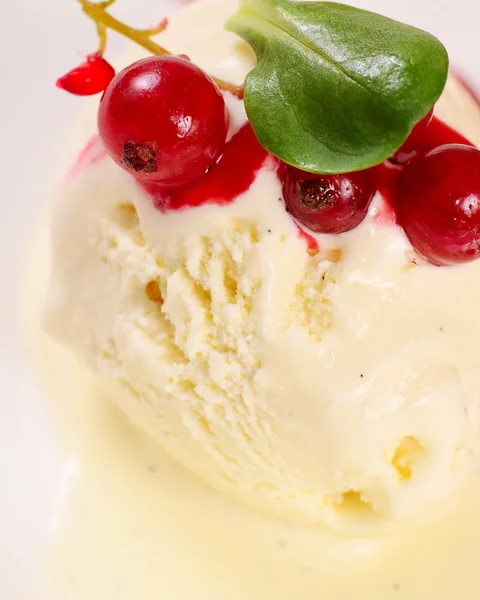 Vanilla ice cream with currant — 图库照片