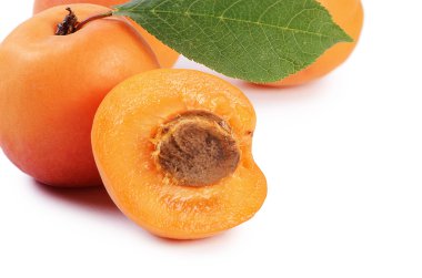 bir yaprak taze kayısı