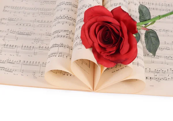 The rose on notebooks with notes — Stock Photo, Image