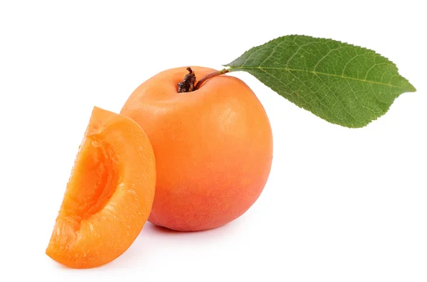 Färska aprikos med ett blad — Stockfoto