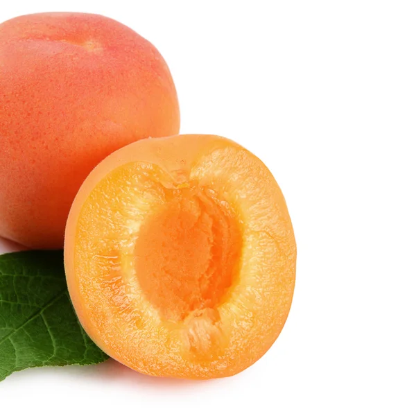 Fresh apricot with a leaf — Stock Photo, Image