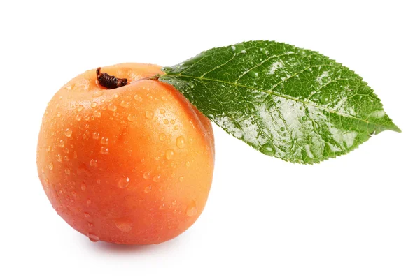 Fresh apricot with a leaf — Stock Photo, Image