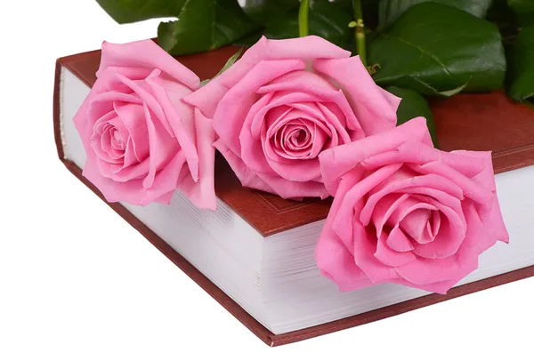 The rose on the book close-up — Stock Photo, Image