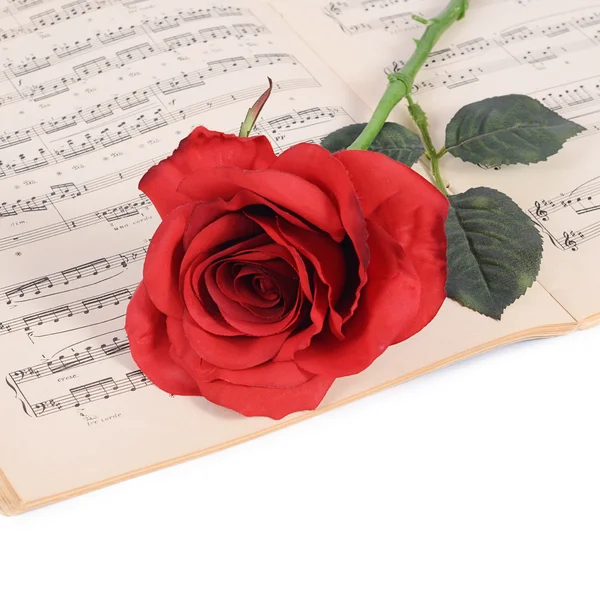 The rose on notebooks with notes — Stock Photo, Image