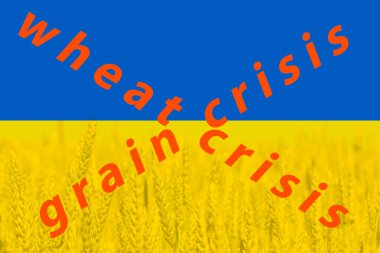 Ukrayna 'da tahıl yetiştirme ve tedarik etme sorunları