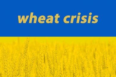 Ukrayna 'da tarım ve buğday arzı sorunları