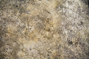 Arka plan ve doku için lekeli ve küflü eski çimento veya beton dış duvar.