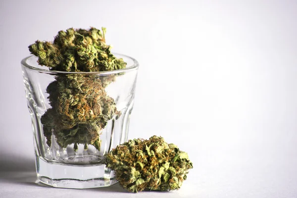 Shot glas gevuld met cannabis — Stockfoto