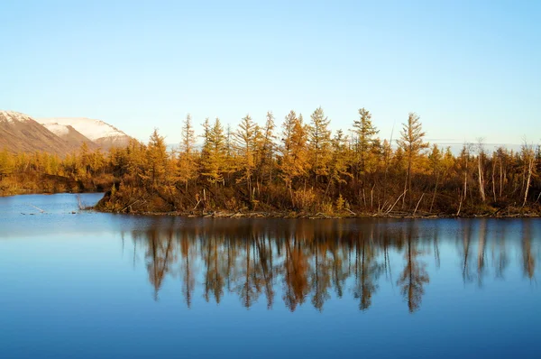 Tundra jesienią — Zdjęcie stockowe