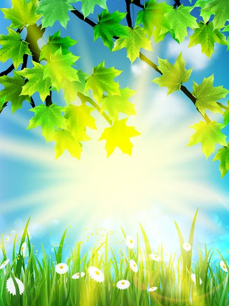 Eco pozadí - zelené listy, tráva, jasné slunce. — Stockový vektor