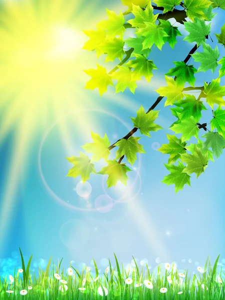 Eco background - green leaves, grass, bright sun. — Stock Vector