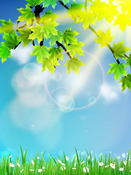 Eco background - green leaves, grass, bright sun. — Stock Vector