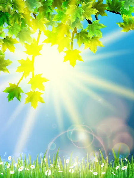 Eco παρασκήνιο - πράσινα φύλλα, γρασίδι, λαμπερό ήλιο. — Διανυσματικό Αρχείο