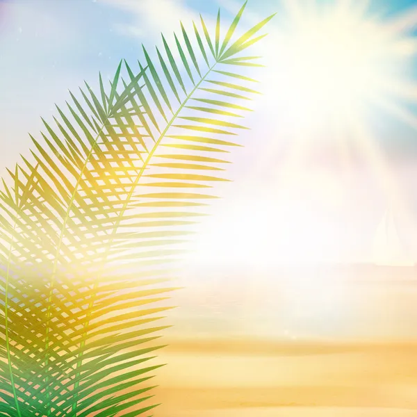 Plantilla de verano playa tropical . — Vector de stock