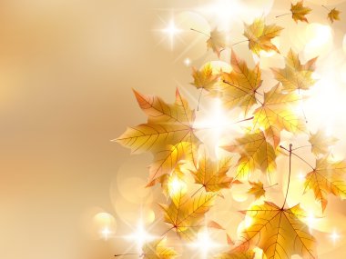 Sonbahar yaprakları, çok sığ odak.