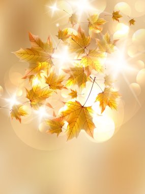 Sonbahar yaprakları, çok sığ odak.