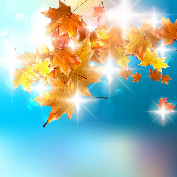 Autumn background template. — Stock Vector