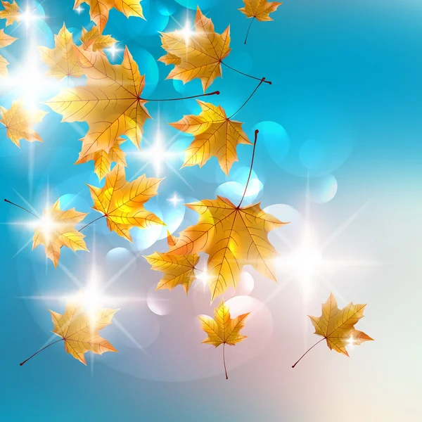 Autumn design background. — Stock Vector