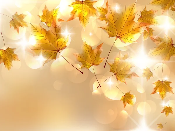 Herbstblätter, sehr flacher Fokus. — Stockvektor