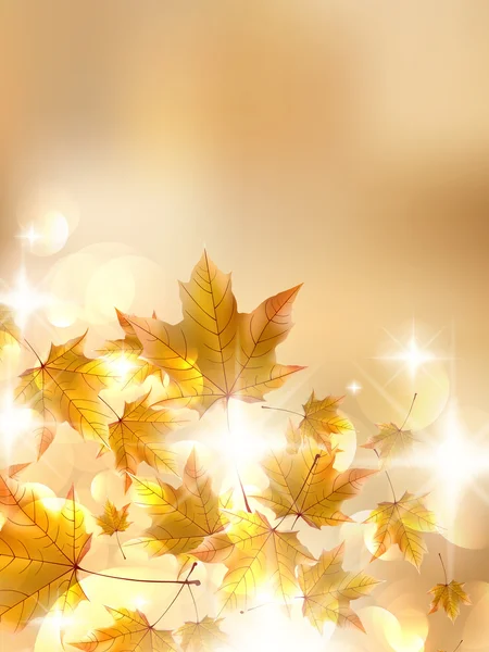 Herbstblätter, sehr flacher Fokus. — Stockvektor