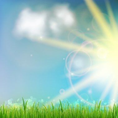 arka plan ile yeşil çimen.