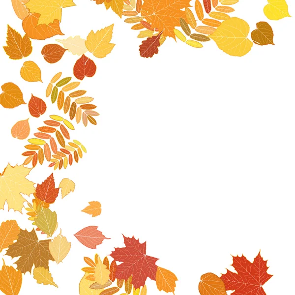 Autumn leaves falling and spinning on white. — Stock Vector