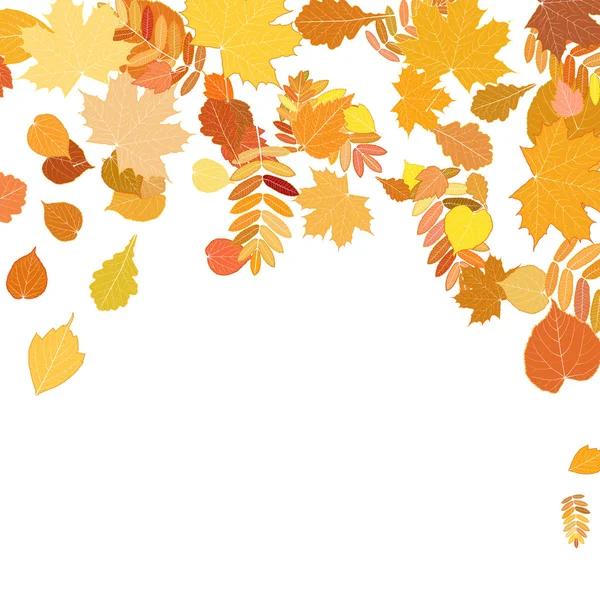 Folhas de outono caindo e girando em branco . — Vetor de Stock