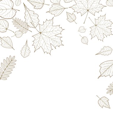 sonbahar yaprak iskeletler şablonu.