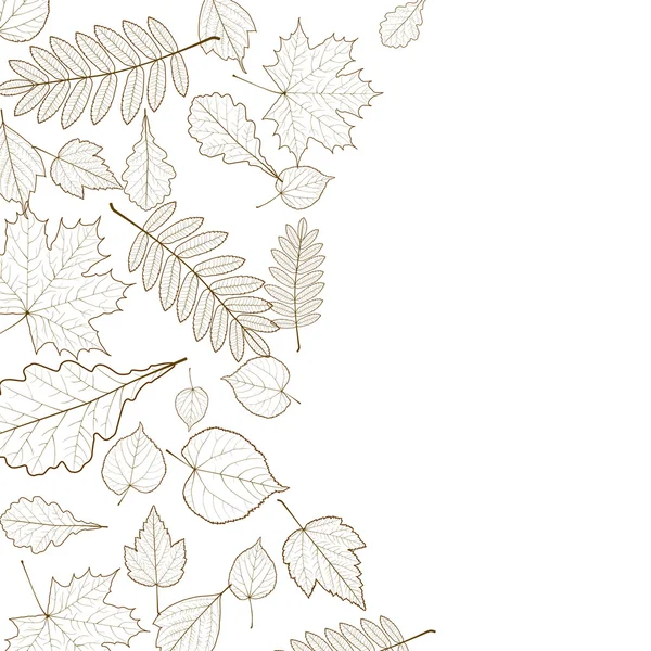 Autumn leaf skeletons template. — Stock Vector