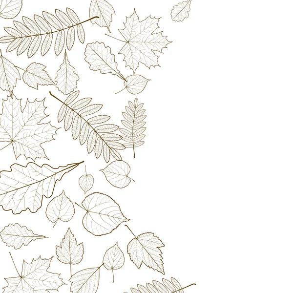 Herfst blad skeletten sjabloon. — Stockvector