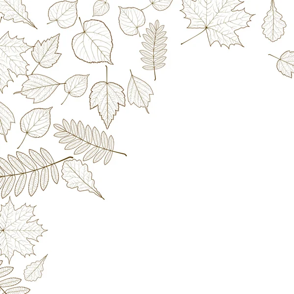 Podzimní barevné listí pozadí šablony. — Stockový vektor
