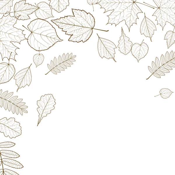 秋の葉のスケルトン テンプレート. — ストックベクタ