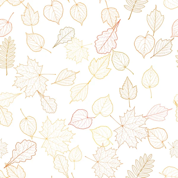 Vorlage für Skelette von Herbstblättern. — Stockvektor