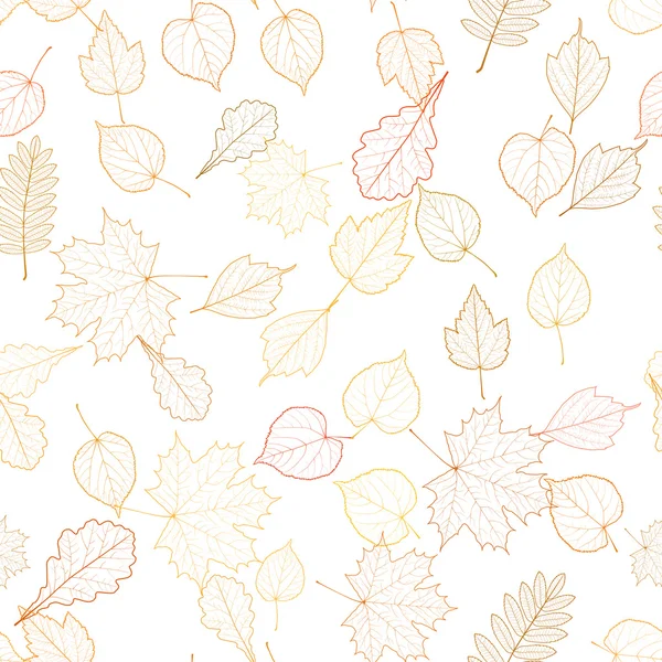 Plantilla de esqueletos de hoja de otoño . — Vector de stock