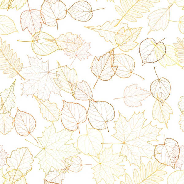 Plantilla de esqueletos de hoja de otoño . — Vector de stock