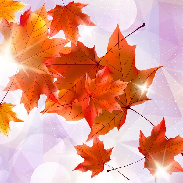 Streszczenie ilustracja jesień z klon liście. — Wektor stockowy