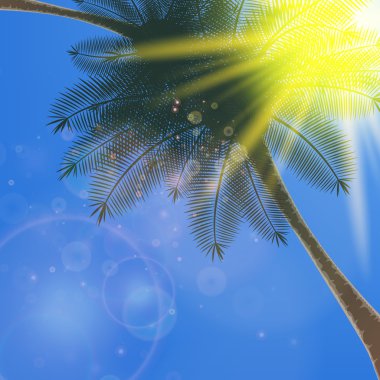 arka plan mavi gökyüzü ile yaz güneş patlaması.