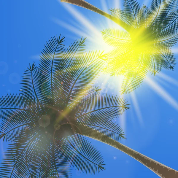 Céu azul com verão sol explosão fundo . —  Vetores de Stock