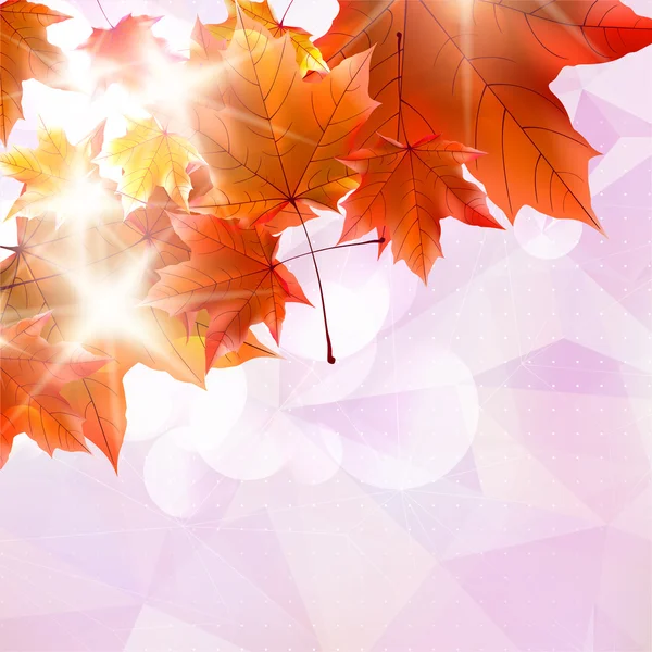 Abstraktní podzimní obrázek s javorového listí. — Stockový vektor