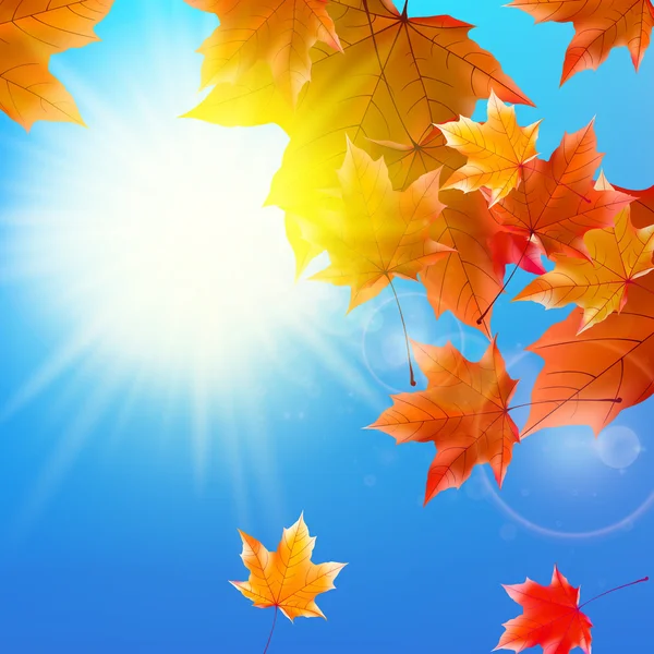 Delicado sol de otoño con resplandor en el cielo azul . — Vector de stock