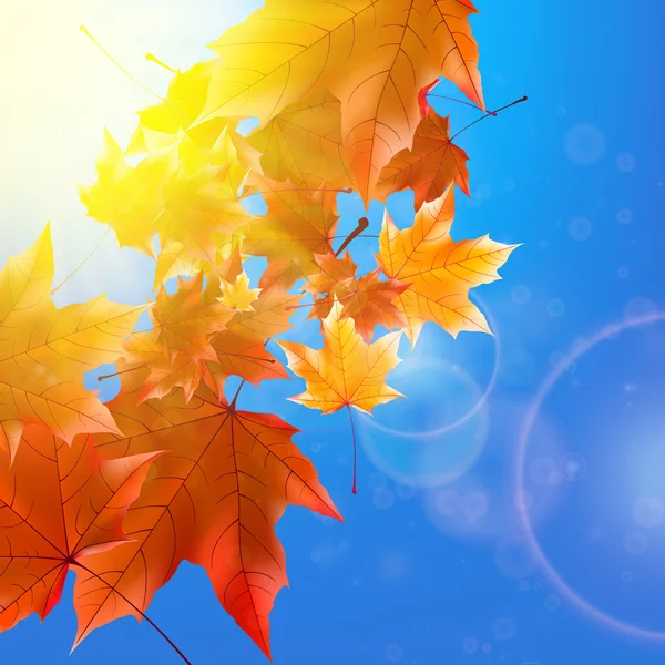 Delicate autumn sun with glare on blue sky. — Stock Vector