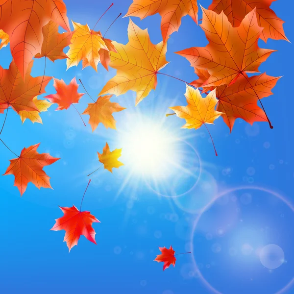 Delicate autumn sun with glare on blue sky. — Stock Vector