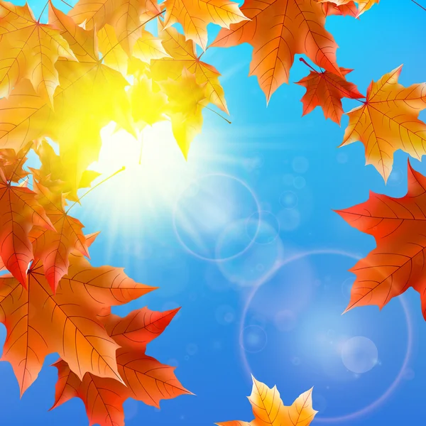 Delicate autumn sun with glare on blue sky. — Stock Vector